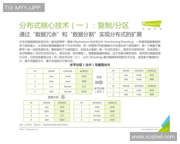上海网球队耐力表现的深度数据分析与研究探讨