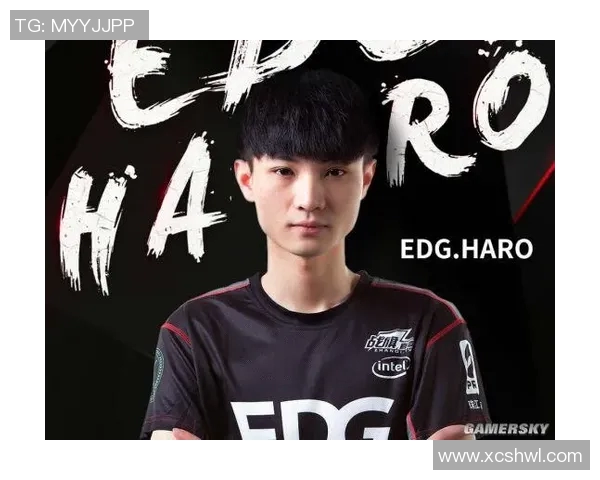 EDG战队在CSGO中的进攻战术解析与实战应用探讨