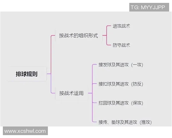 北京排球队的战术演变与球员转换深度解析 北京排球队的战术演变与球员转换深度解析