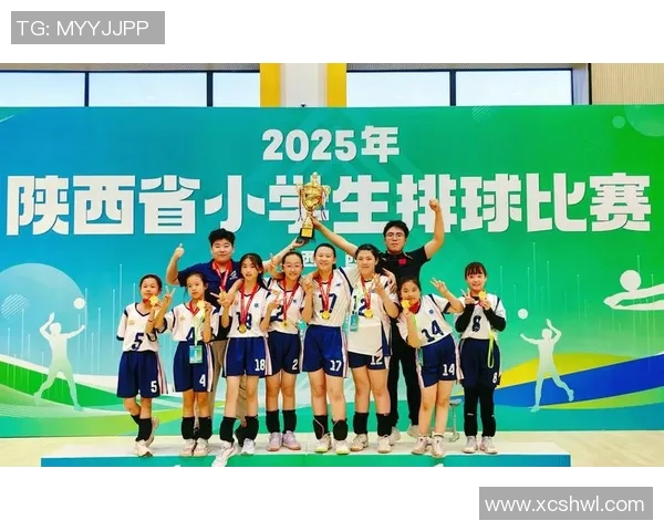 排球盛宴揭秘西安排球队实力与战术分析之旅