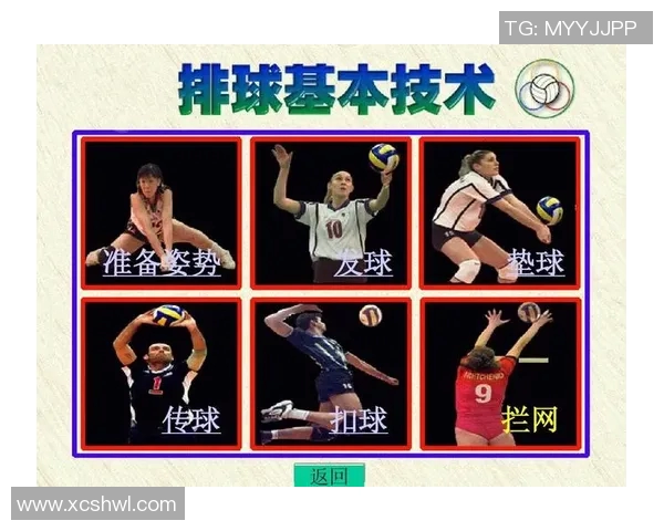 武汉排球队意识表现的深入数据分析与探讨