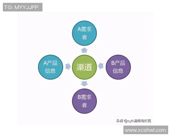 深入分析北京滑板队的运营策略与发展模式探秘