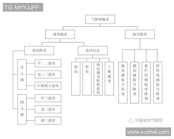 深圳排球队战术解析与对比研究揭示球队优势与不足