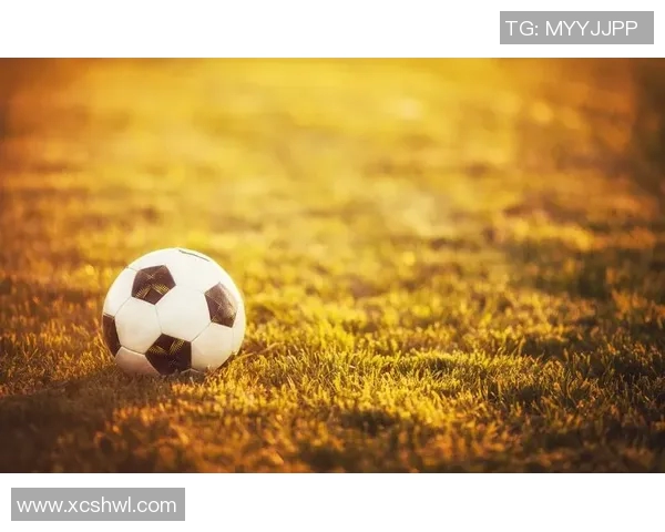 陈娜的足球人生：从草地到赛场的深度对话与成长故事