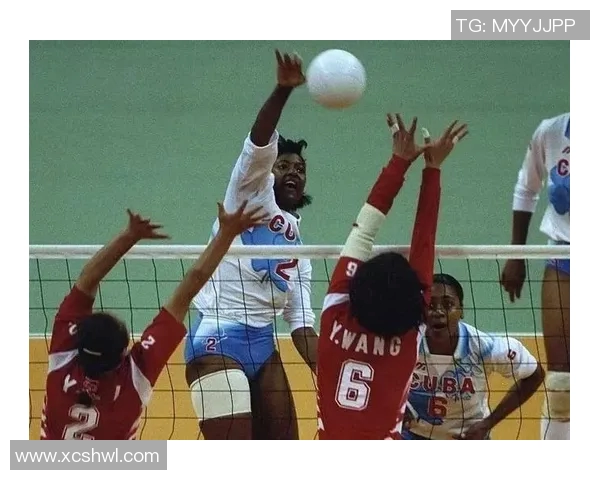 刘伟专访:畅谈排球生涯与心路历程的点滴回顾 刘伟专访:畅谈排球生涯与心路历程的点滴回顾