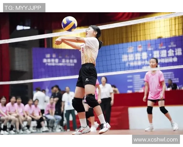 广州排球队战术之争引发热议球迷与专家观点碰撞激烈