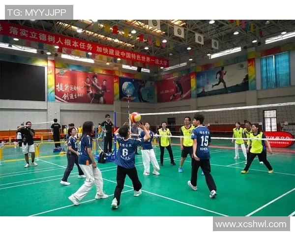 成都排球队的力量变革引发热议展现新风貌与未来潜力