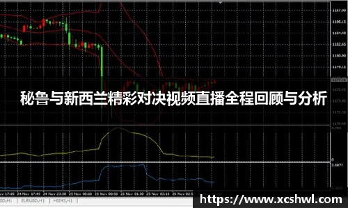 悟空体育平台